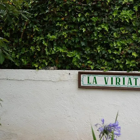 Viriata - Rural Getaway, Pool, Golf & Hiking Lovers Tacoronte