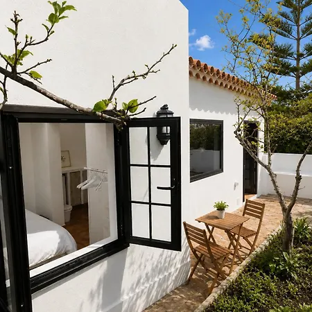 Viriata - Rural Getaway, Pool, Golf & Hiking Lovers Casa vacanze *