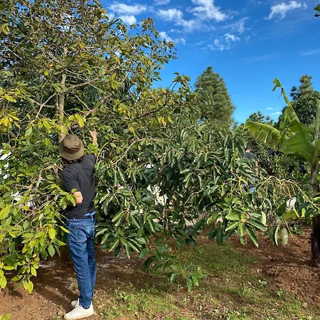 בית נופש Viriata - Rural Getaway, Pool, Golf & Hiking Lovers טקורונטה