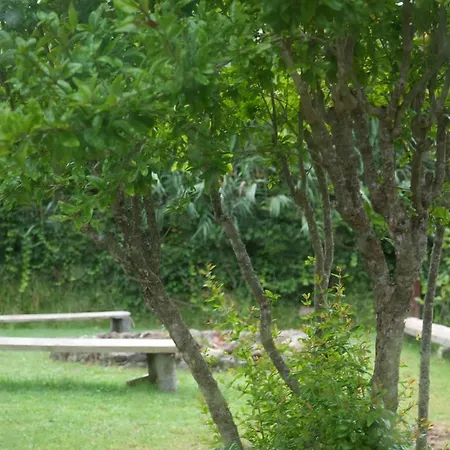 בית נופש Viriata - Rural Getaway, Pool, Golf & Hiking Lovers
