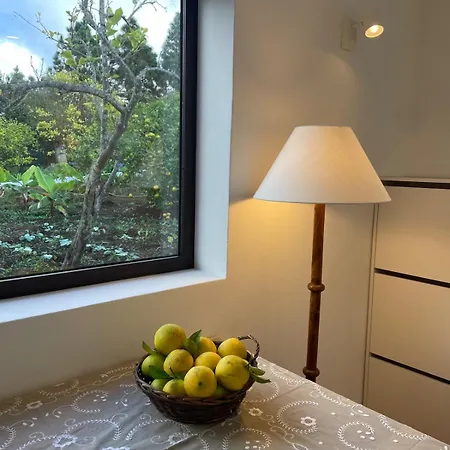 בית נופש Viriata - Rural Getaway, Pool, Golf & Hiking Lovers *