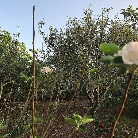 בית נופש Viriata - Rural Getaway, Pool, Golf & Hiking Lovers *