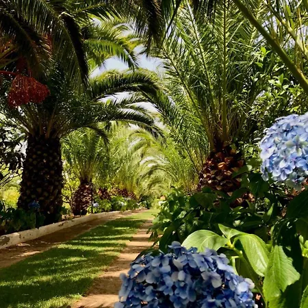 בית נופש Viriata - Rural Getaway, Pool, Golf & Hiking Lovers