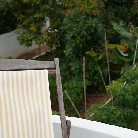 Viriata - Rural Getaway, Pool, Golf & Hiking Lovers *