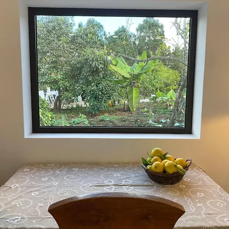 בית נופש Viriata - Rural Getaway, Pool, Golf & Hiking Lovers טקורונטה